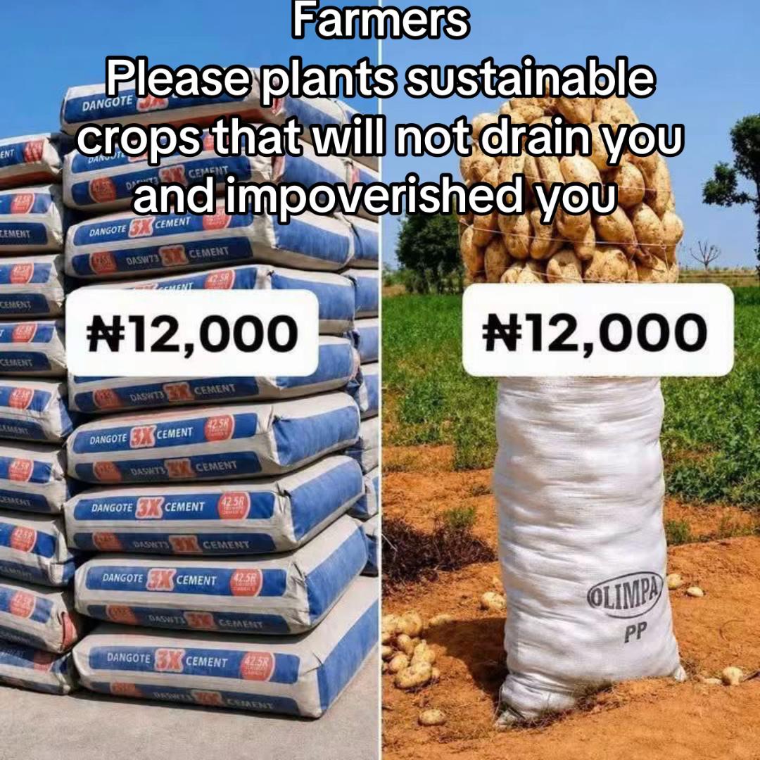 @BabaObaTv @Yuki Agro limited