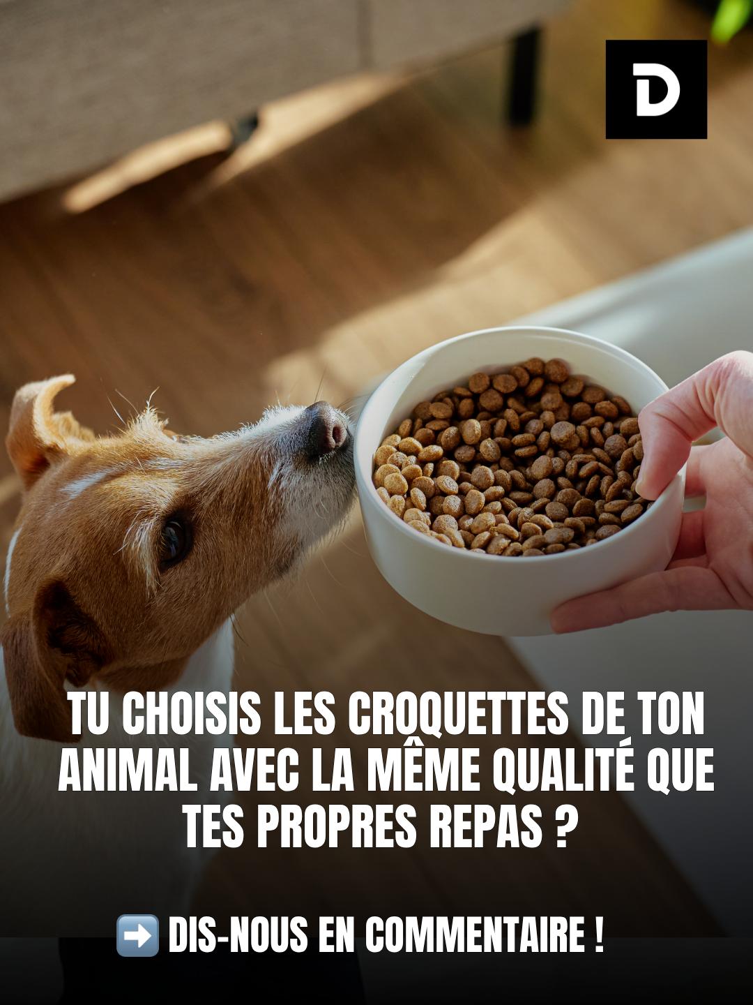 @Demotivateur