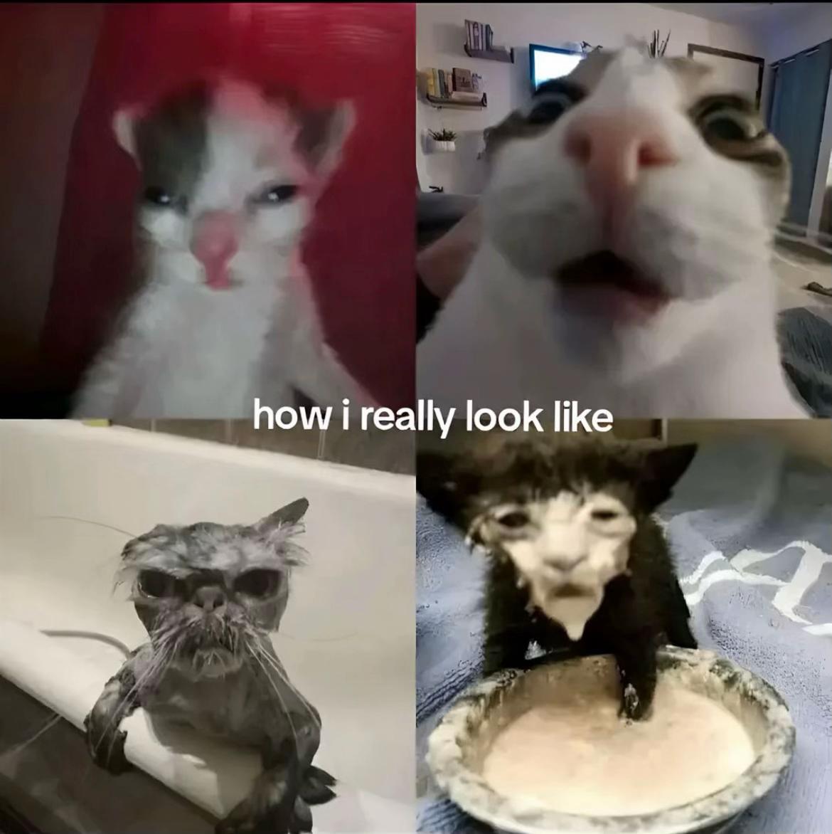 @Finni