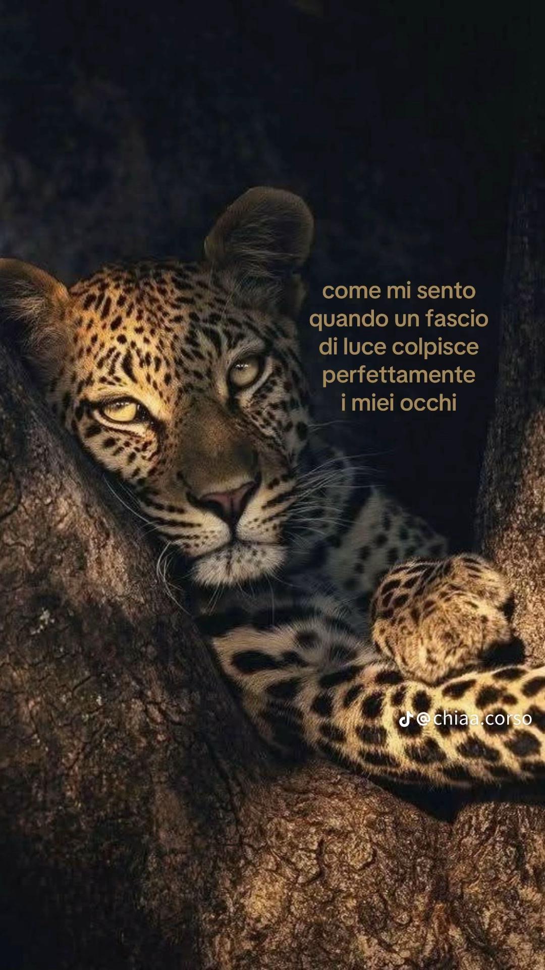 @Alessia Federici