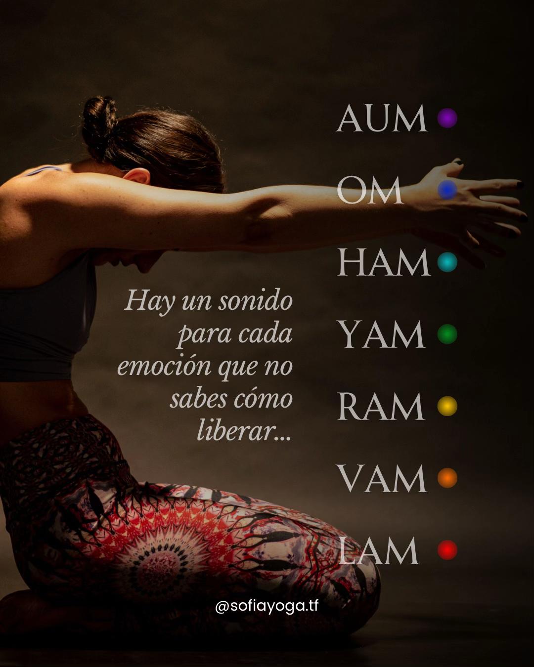 @sofiayoga.tf