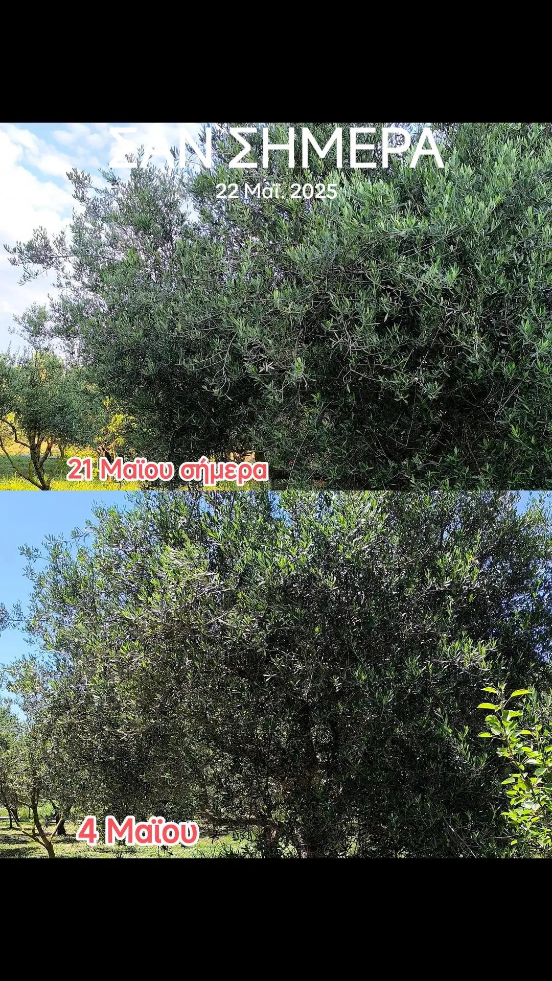 @&Alpha;&gamma;&alpha;&lambda;&iota;&alpha;&nu;ό&sigmaf; &Iota;&omega;ά&nu;&nu;&eta;&sigmaf; &Gamma;&epsilon;&omega;&pi;ό&nu;&omicron;&sigmaf;