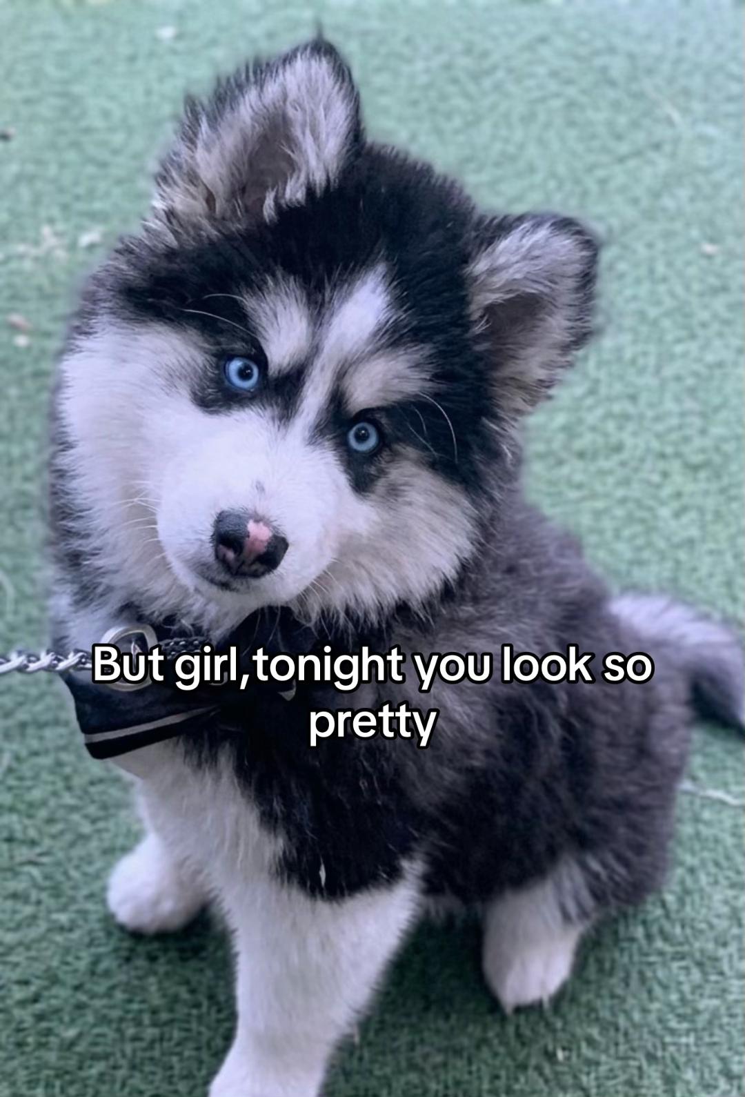 @Yanira👀