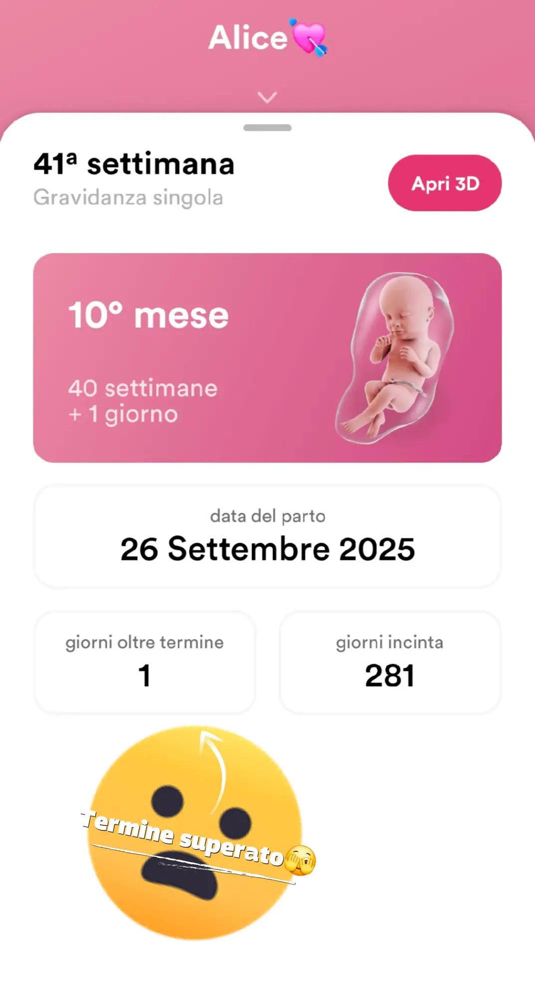 @michelapietragalla