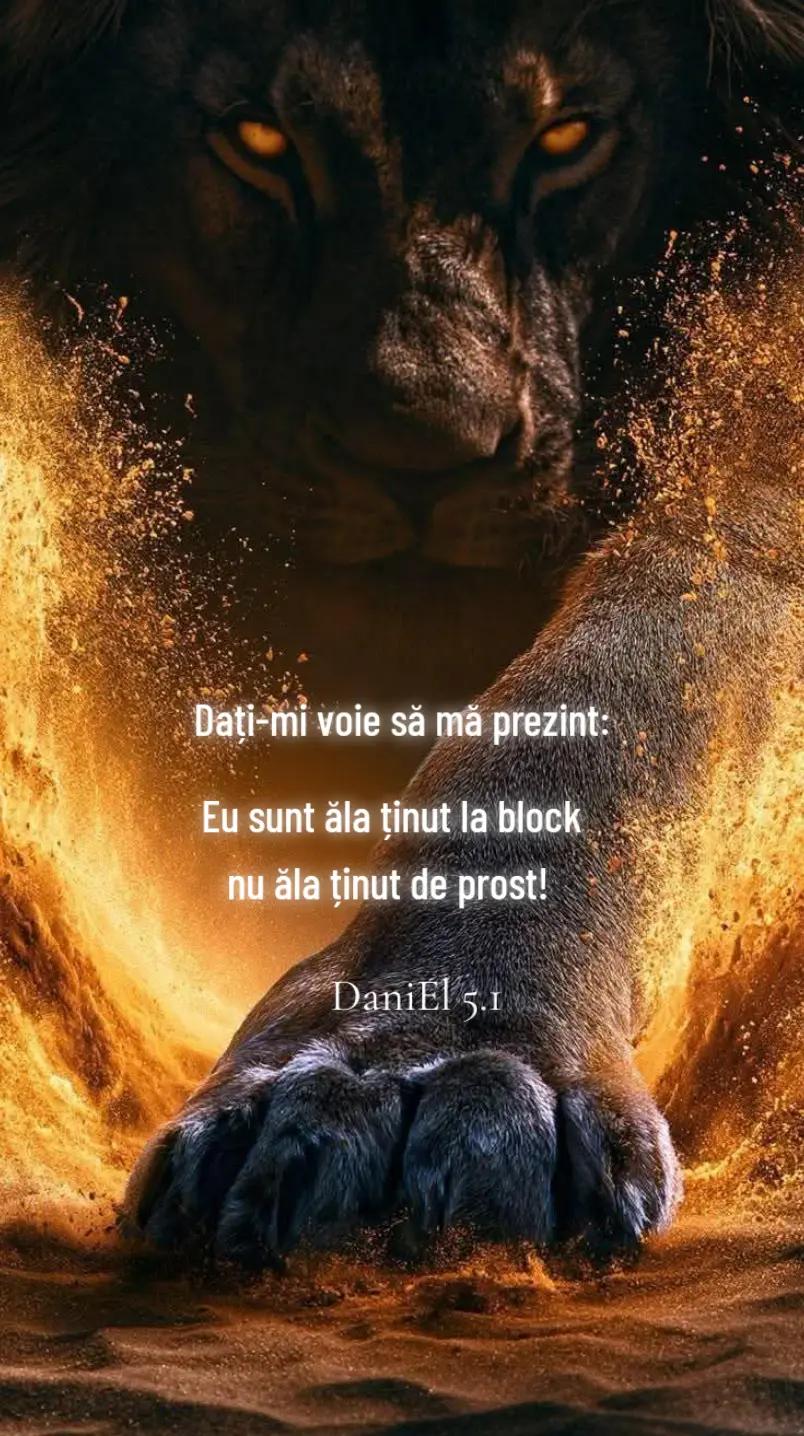 @☯ DaniEl 5.1 ٨ـﮩﮩـ