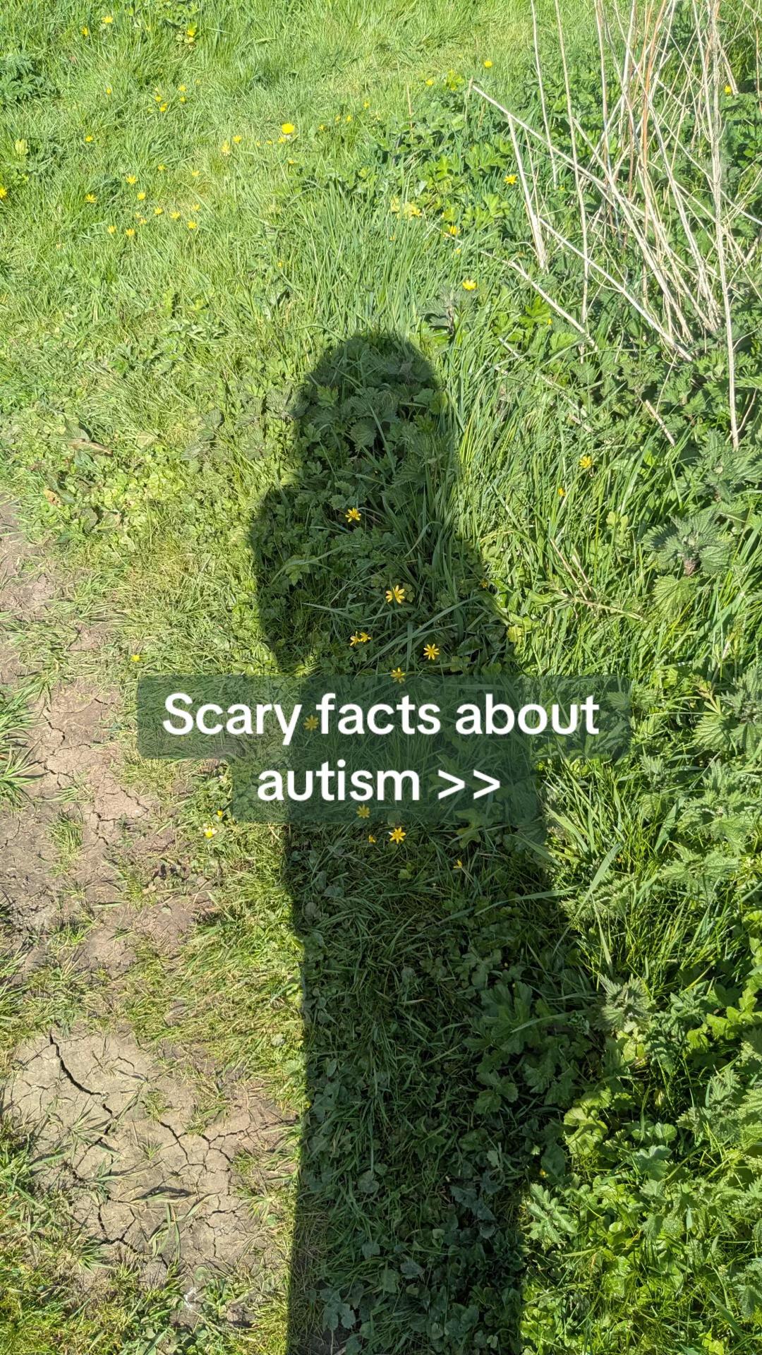 @𝓒𝓪𝓼𝓼𝓲𝓪𝓷𓍢ִ໋ 🌿 AuDHD