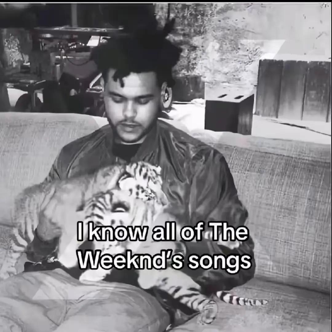 @LiamkoppelsXOart