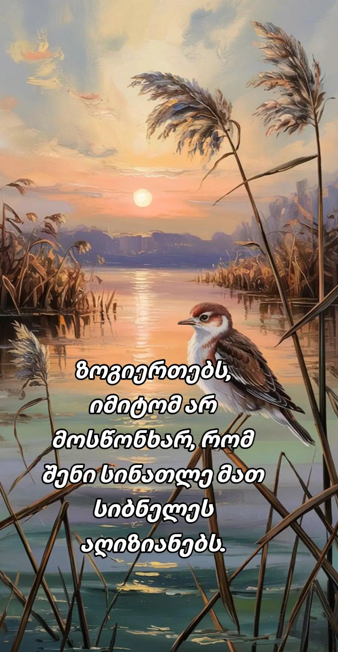 @TEKO๐ฆ๐ค