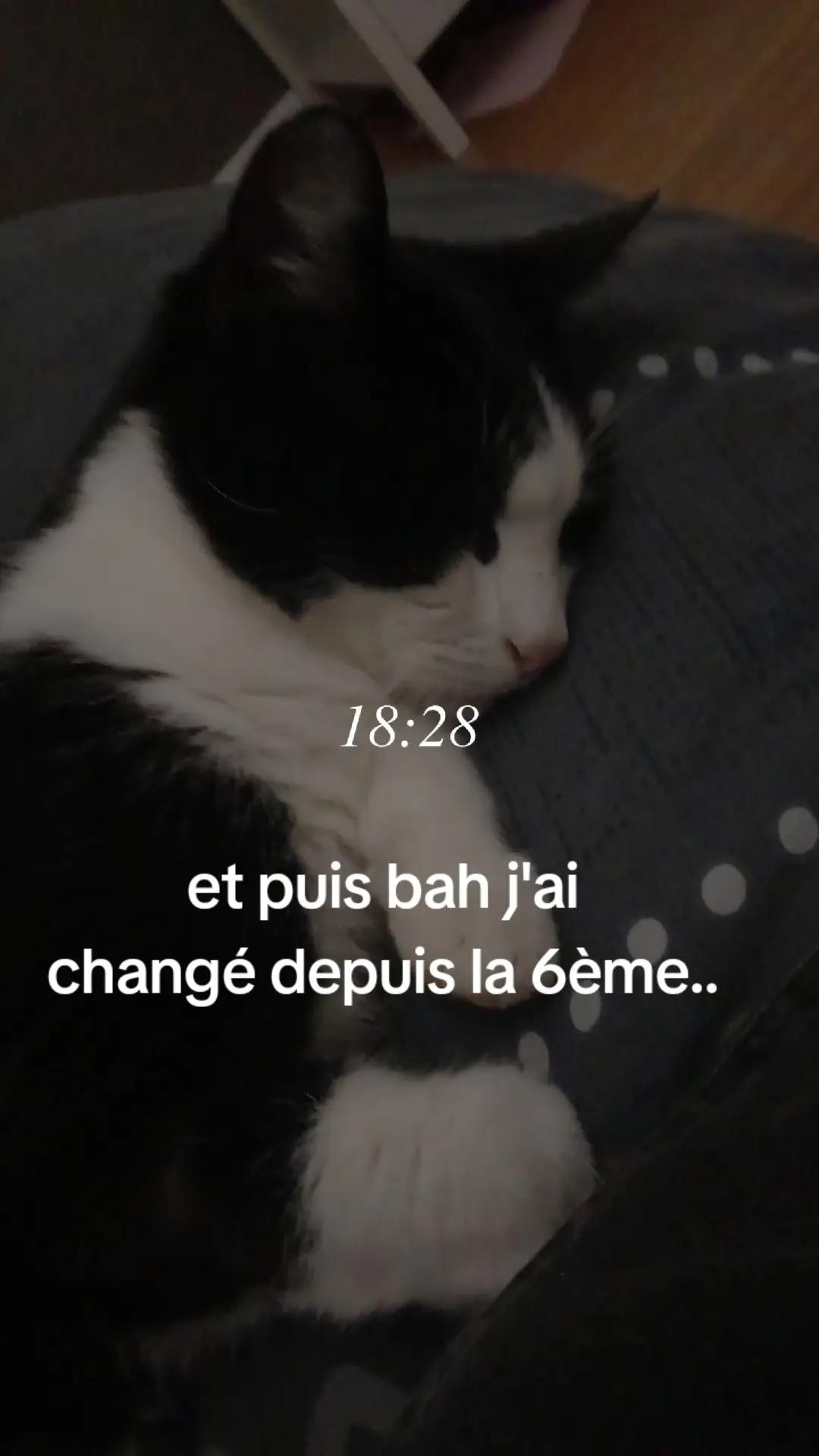 @~Éloïse~