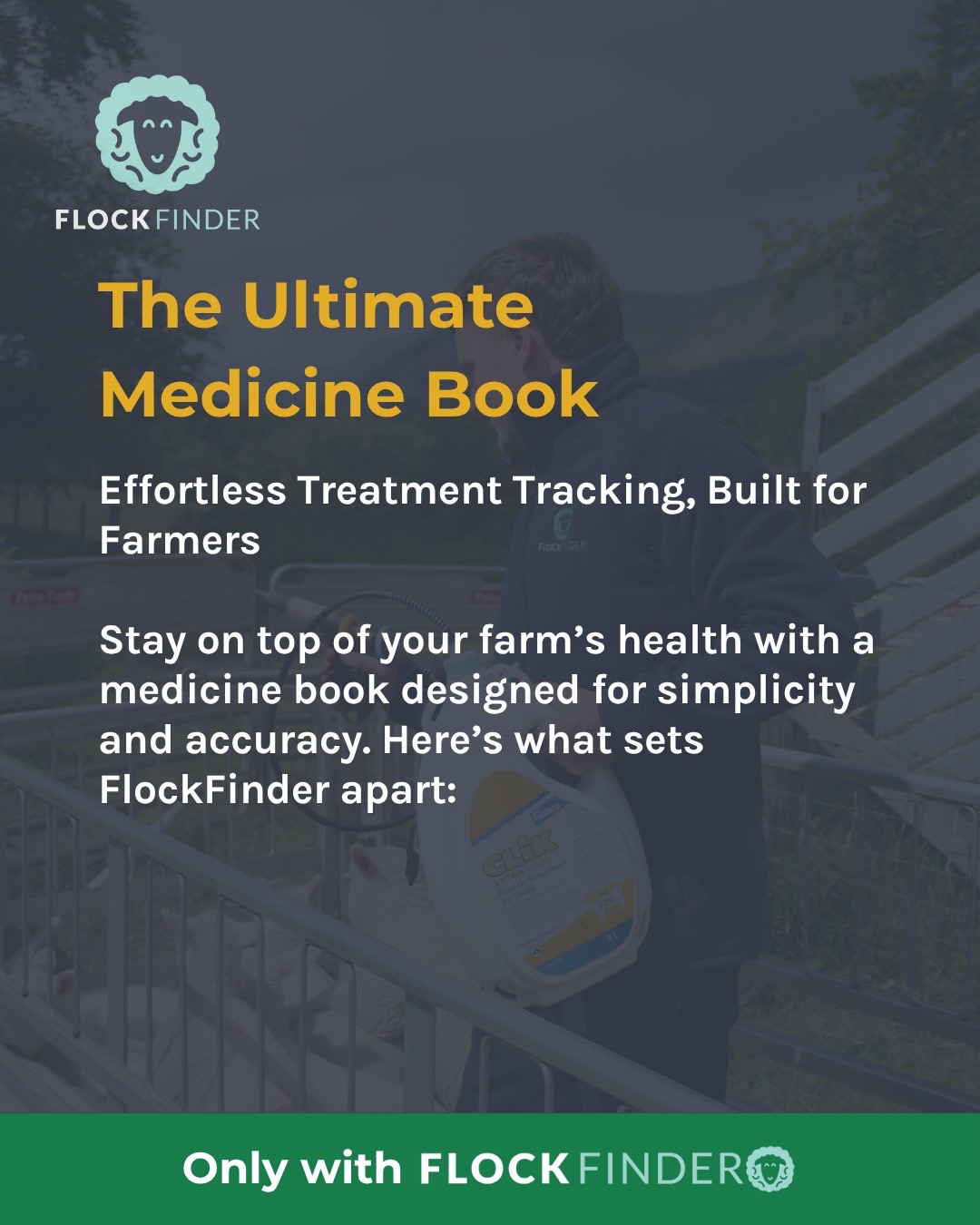 @FlockFinder