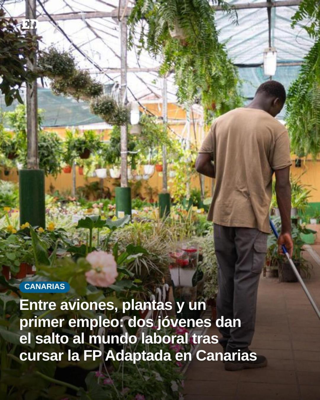 @El Día - Tenerife