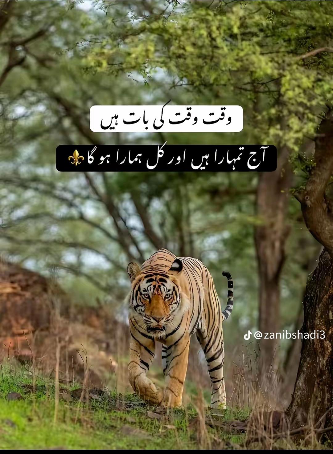 @🇵🇰 BHATTi SAB 🇬🇧