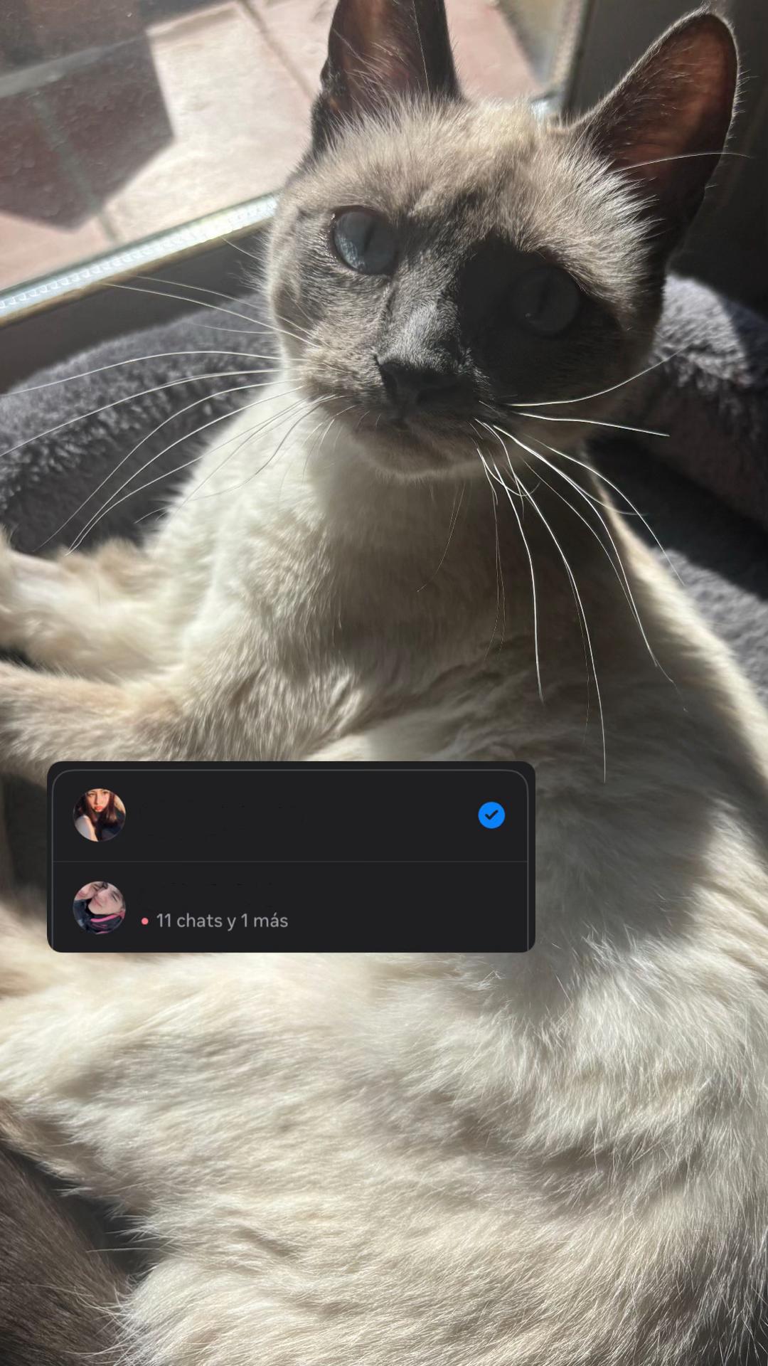 @Yaiza