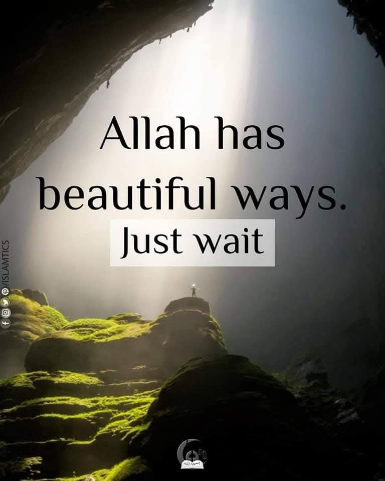 @salma ali