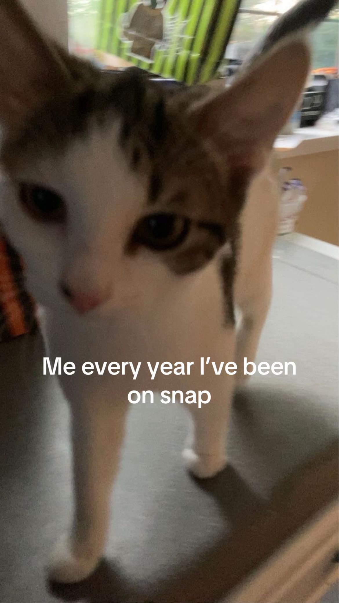 @Jade