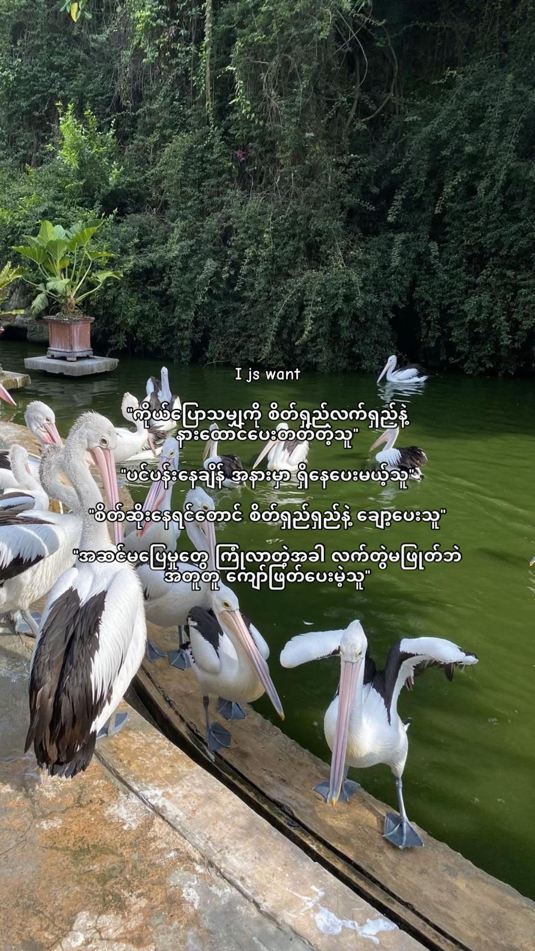 @𝐇𝐀𝐘