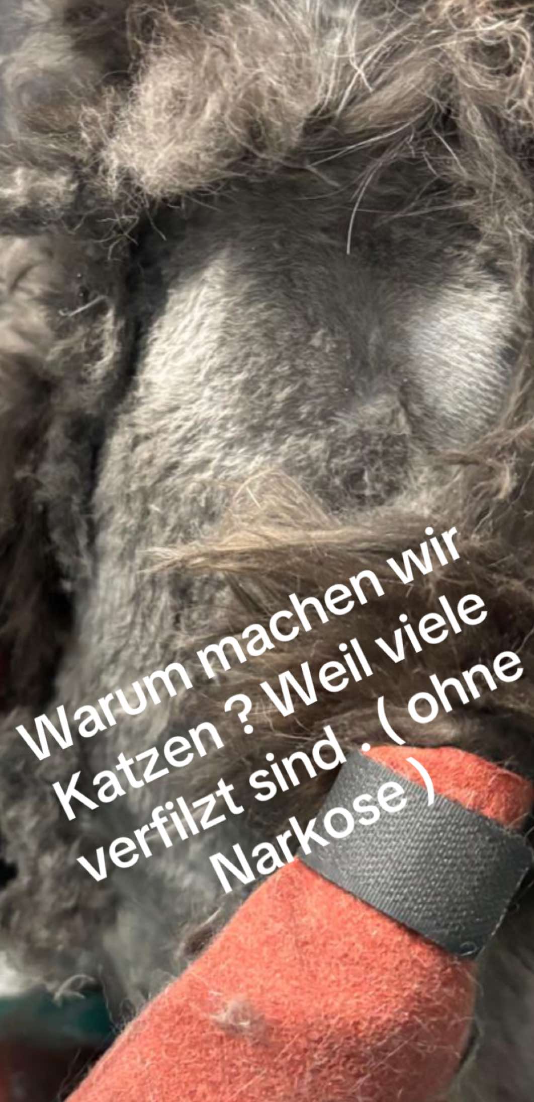 @Fellpflegerei Verena