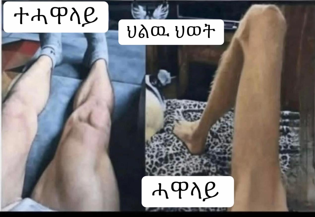 @ስቅታ