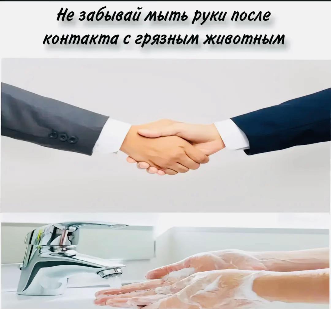 @Тимур228_проигрокнамипаре