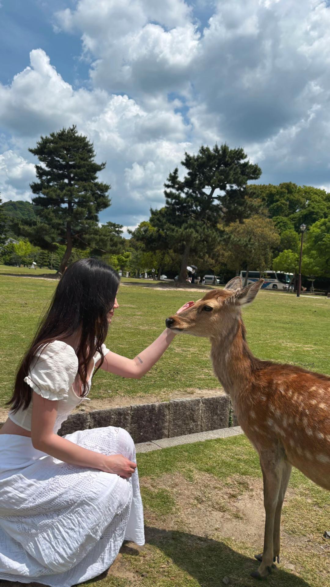 @𝓃𝑒𝓁𝓁𝓎