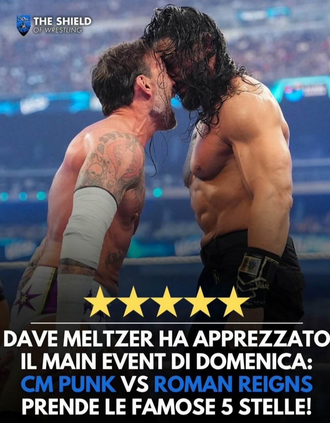 @The Shield Of Wrestling 🔹