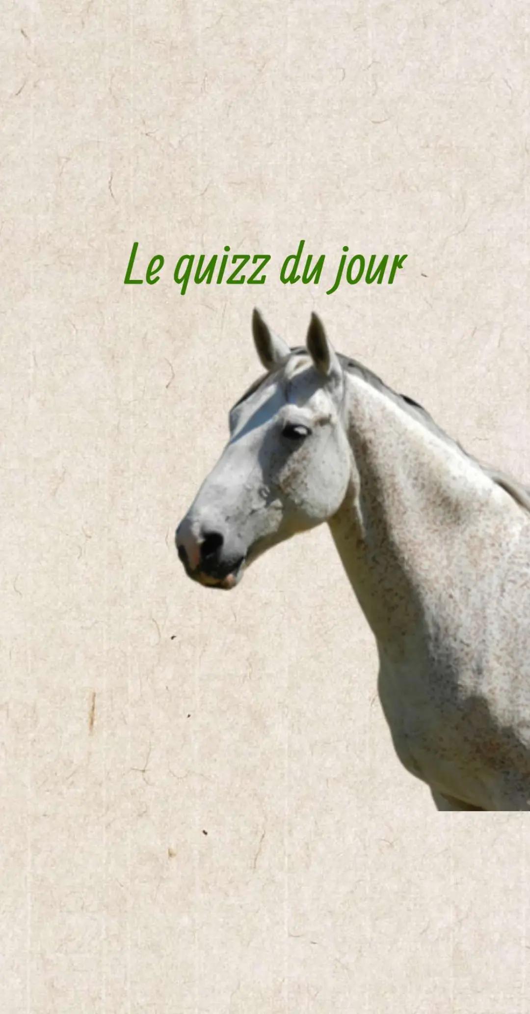 @mathilde🦄