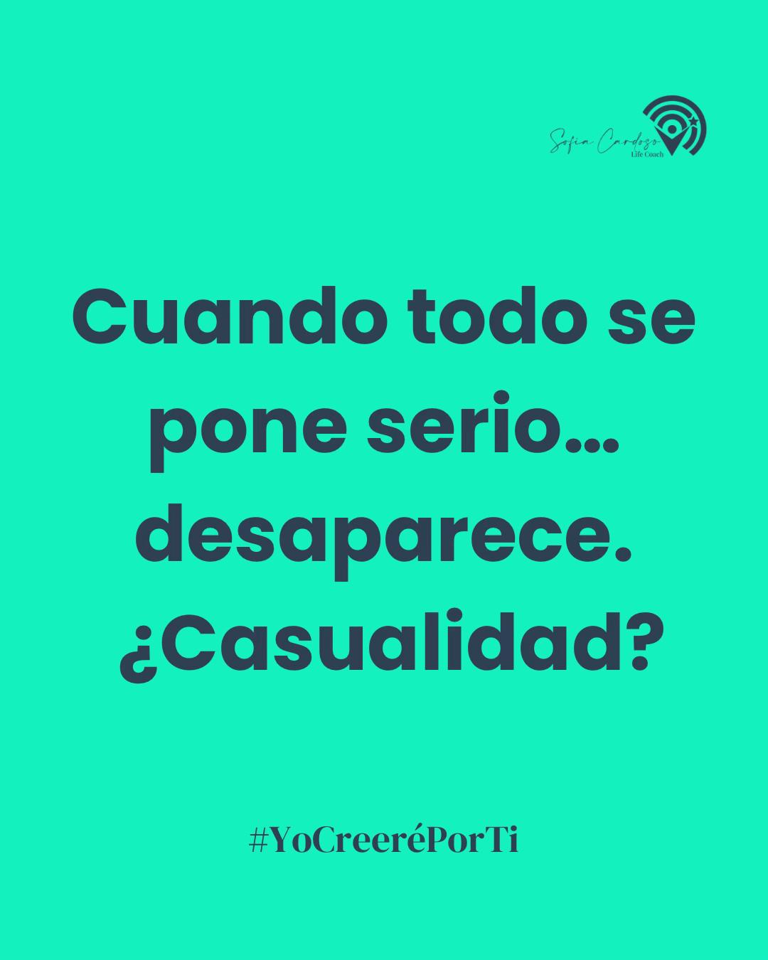 @Sofia Cardoso