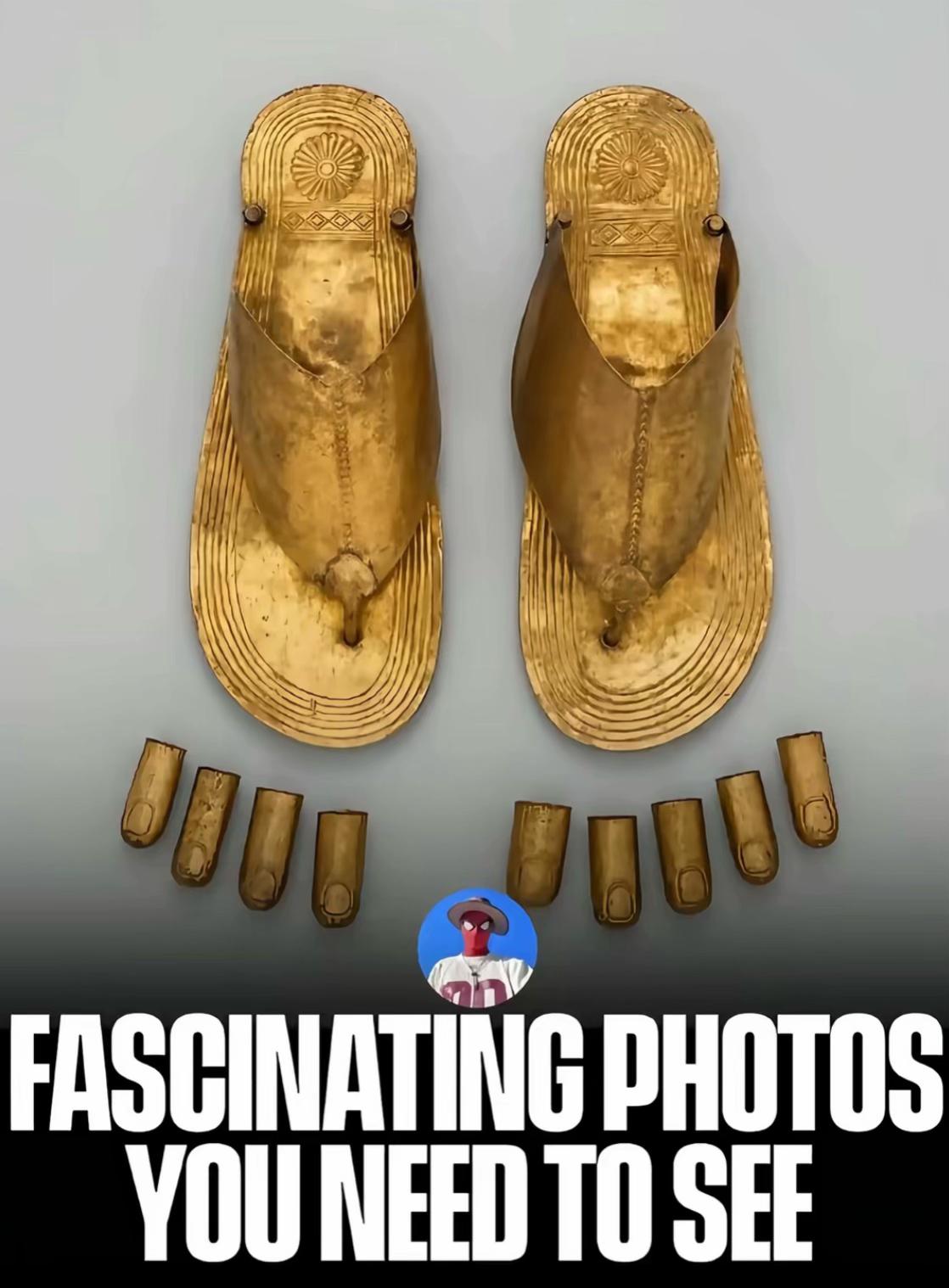 @🪽
