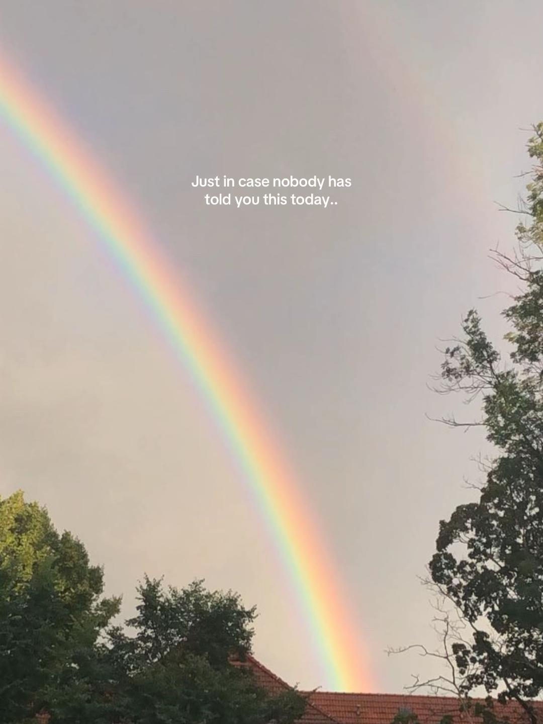 @𝒶𝓂𝒾𝑒