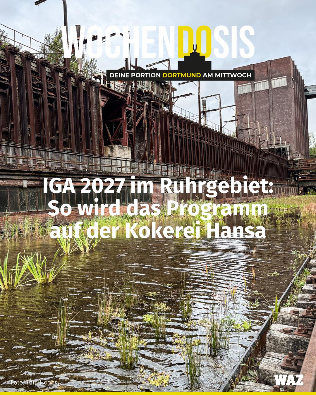 @WochenDOsis | WAZ Dortmund