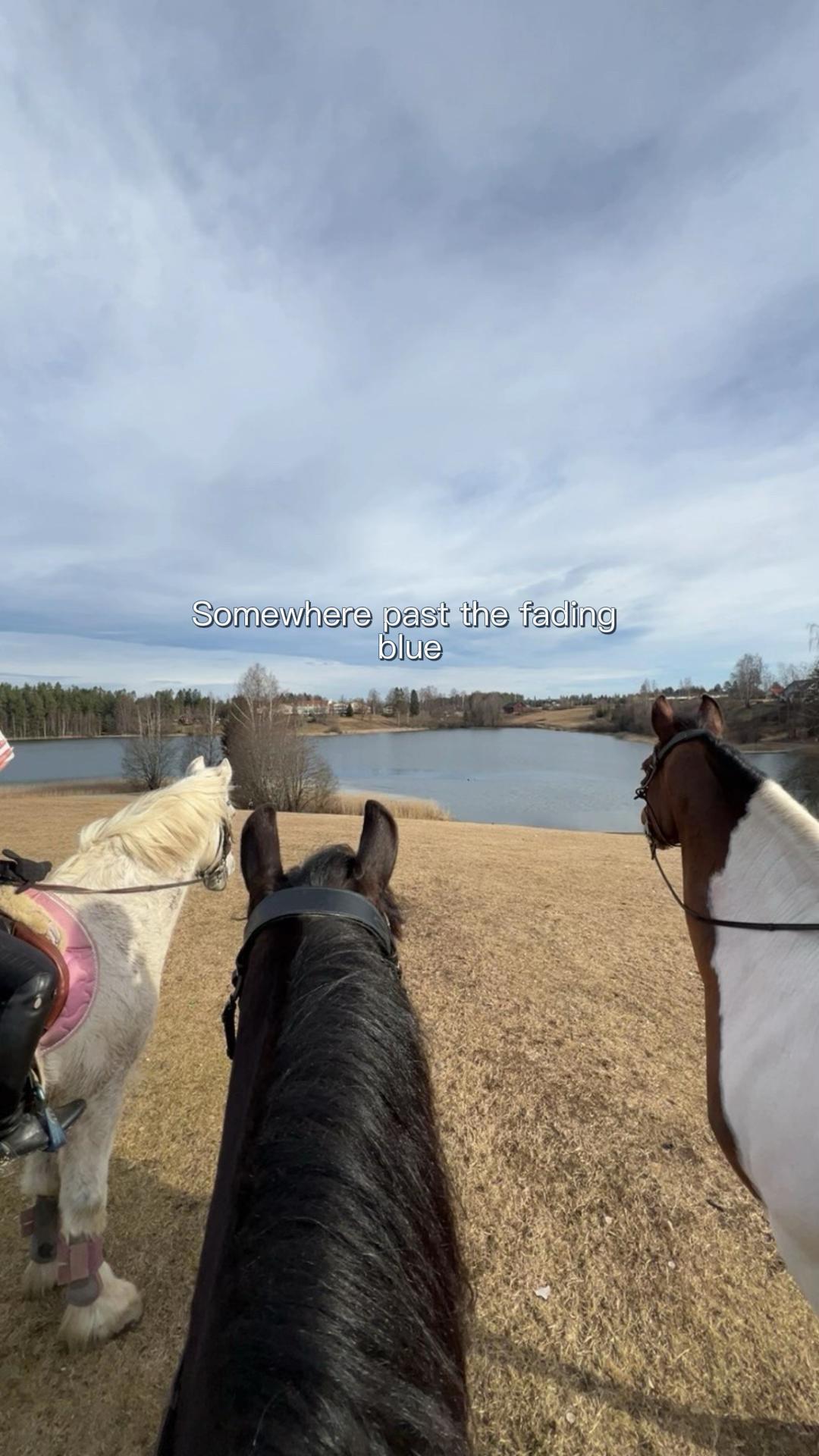 @𝑀𝑎𝑑𝑒𝑙𝑒𝑛