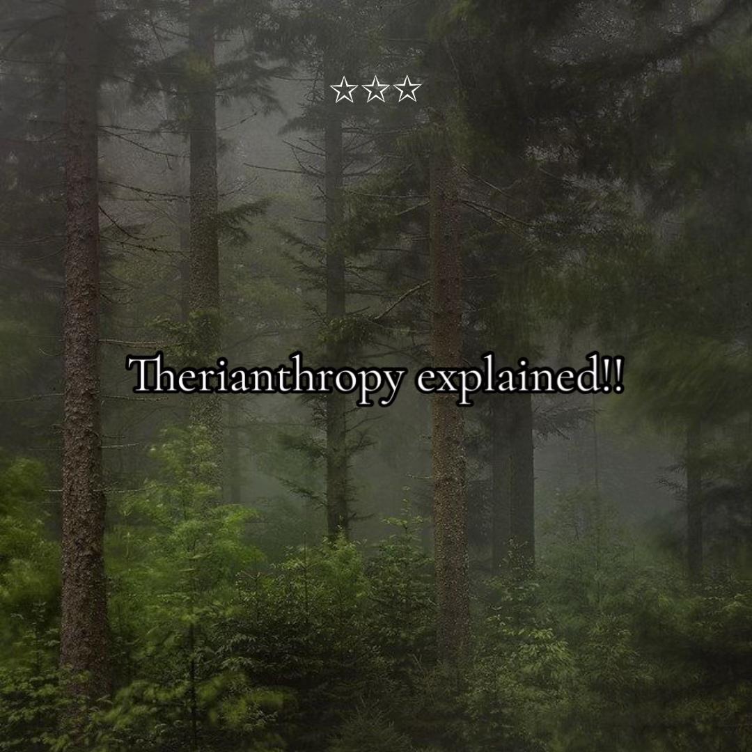 @⋮ ✩ 𝘭𝘺𝘬𝘰𝘴ˏˏ𓄀