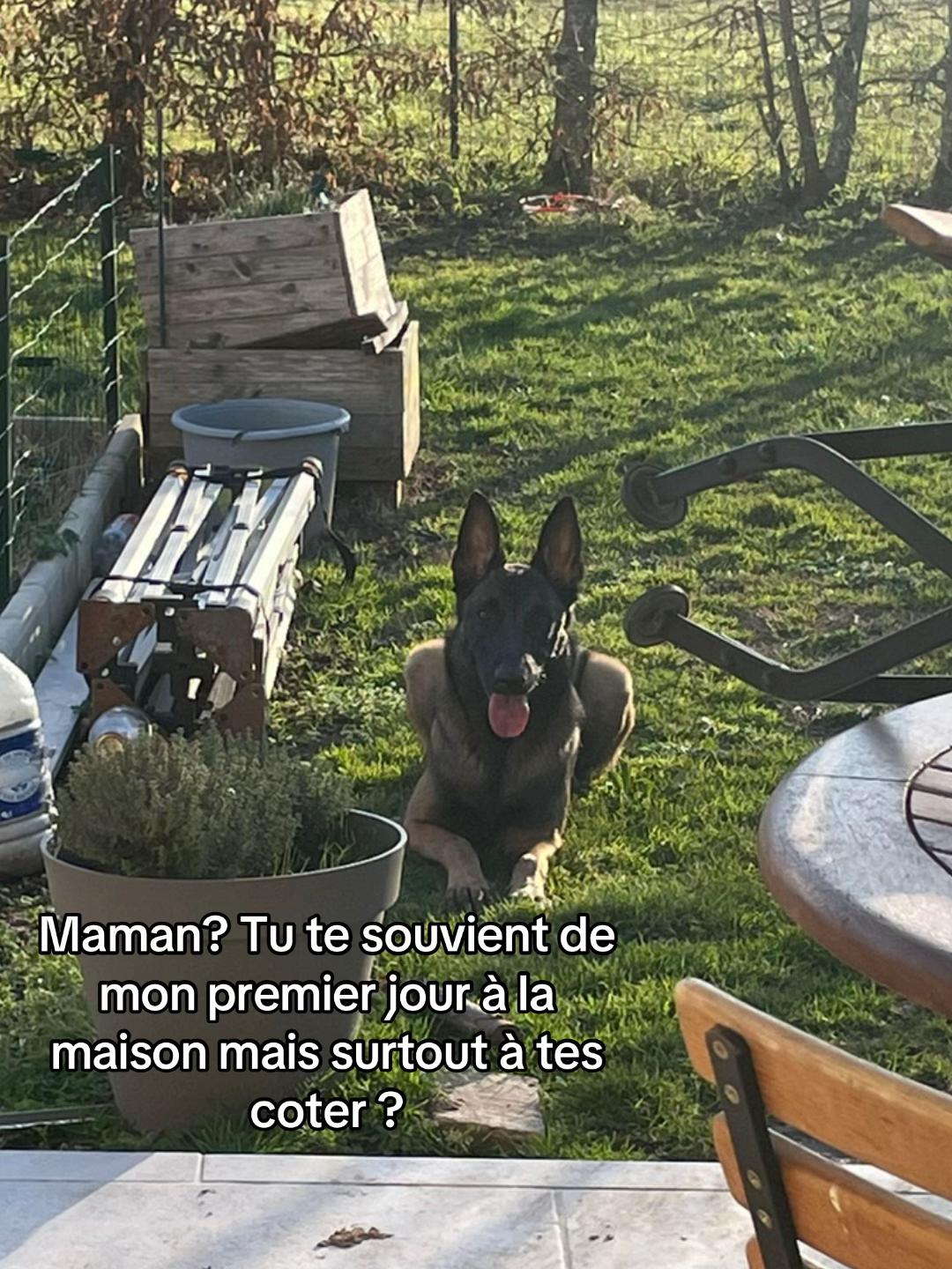 @Le O&rsquo; 🦋