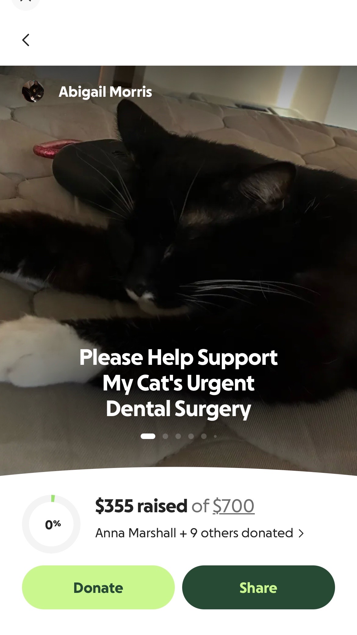 @Gremlin_Fundraiser