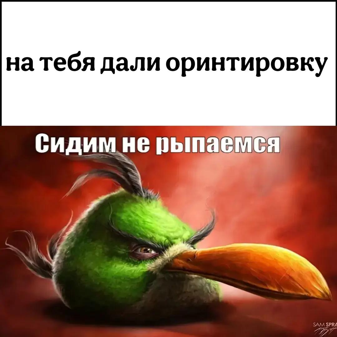 @дата финансов
