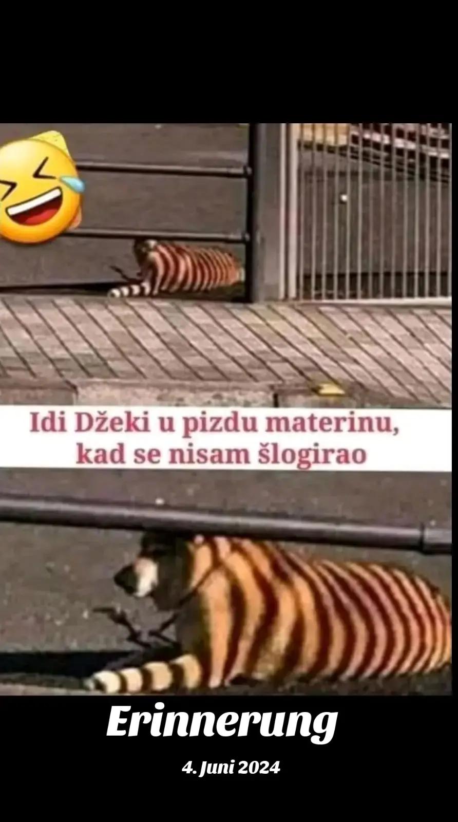 @to sam ja  😉