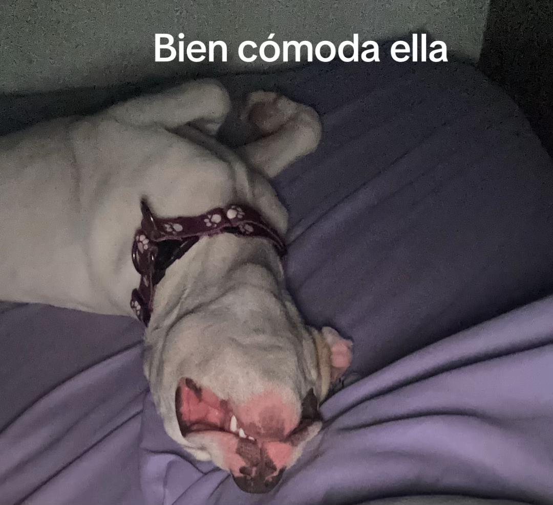 @JuanDaaaaaa26
