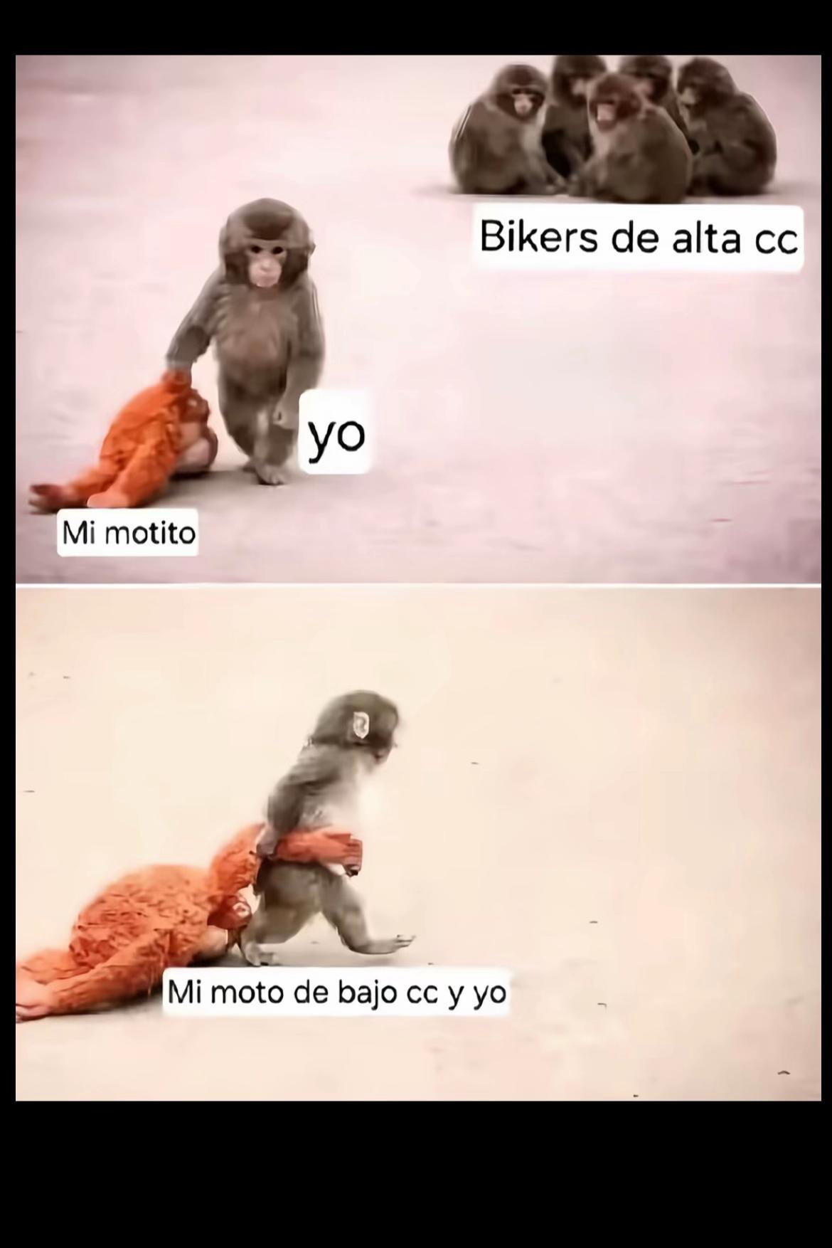@rodrigo🥷