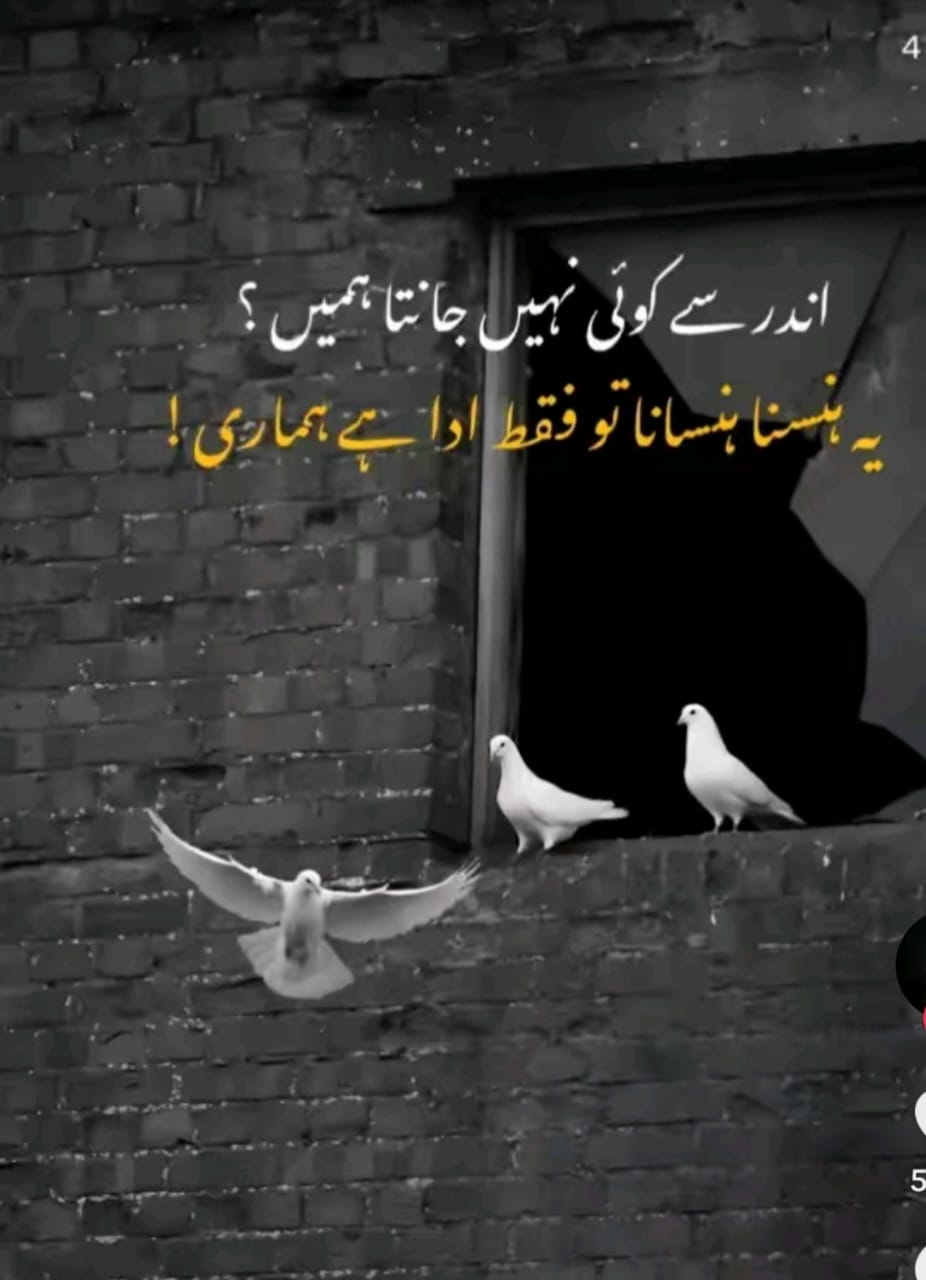 @🐊چوہان صاحب ڈیرےآلے🥷