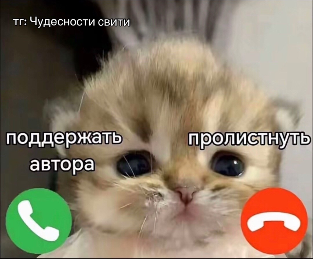 @тг: Чудесности свити ✨