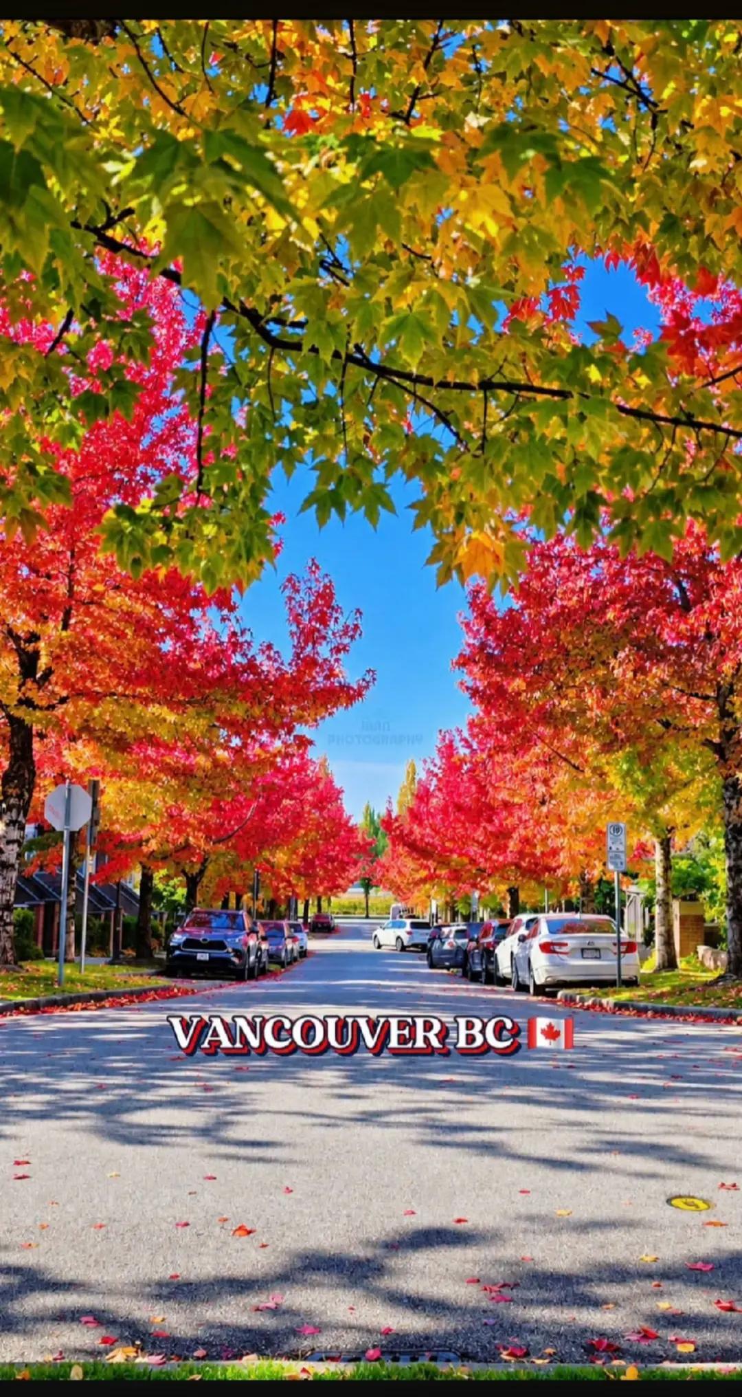 @Aana🇨🇦🇹🇭