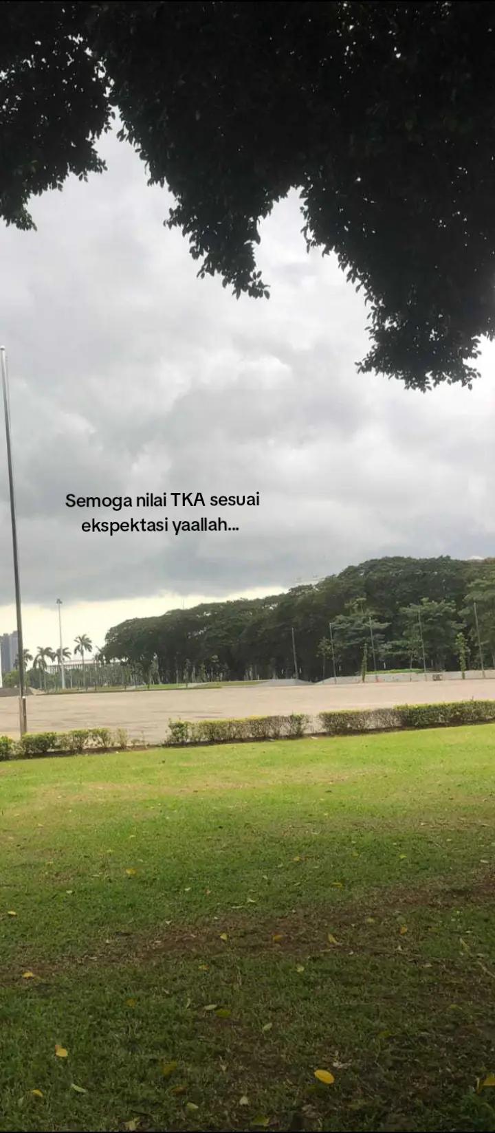 @cipsss