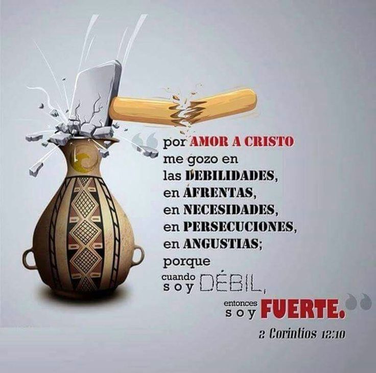 @palomita🕊️