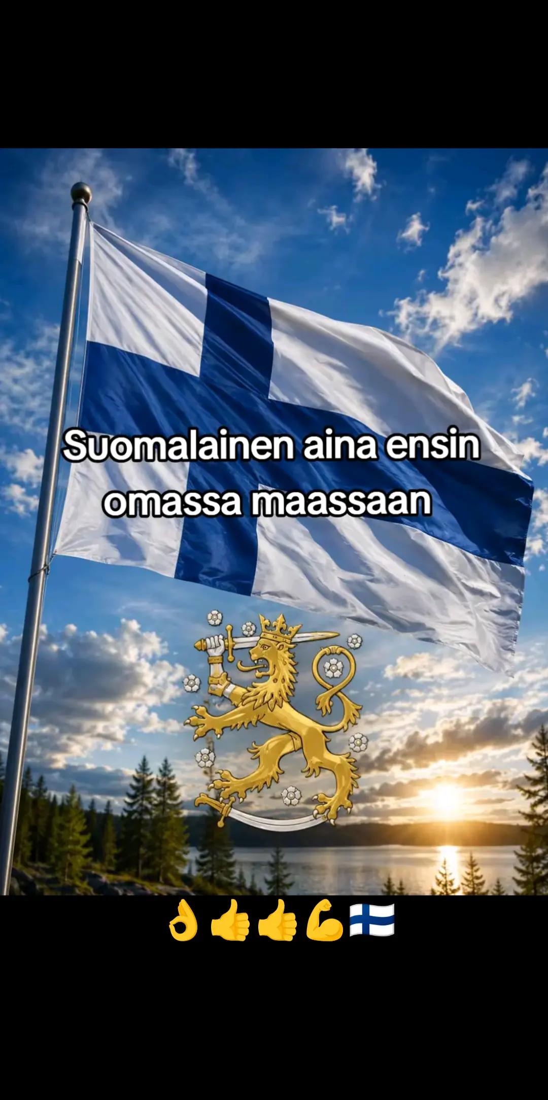 @finlandlapland1