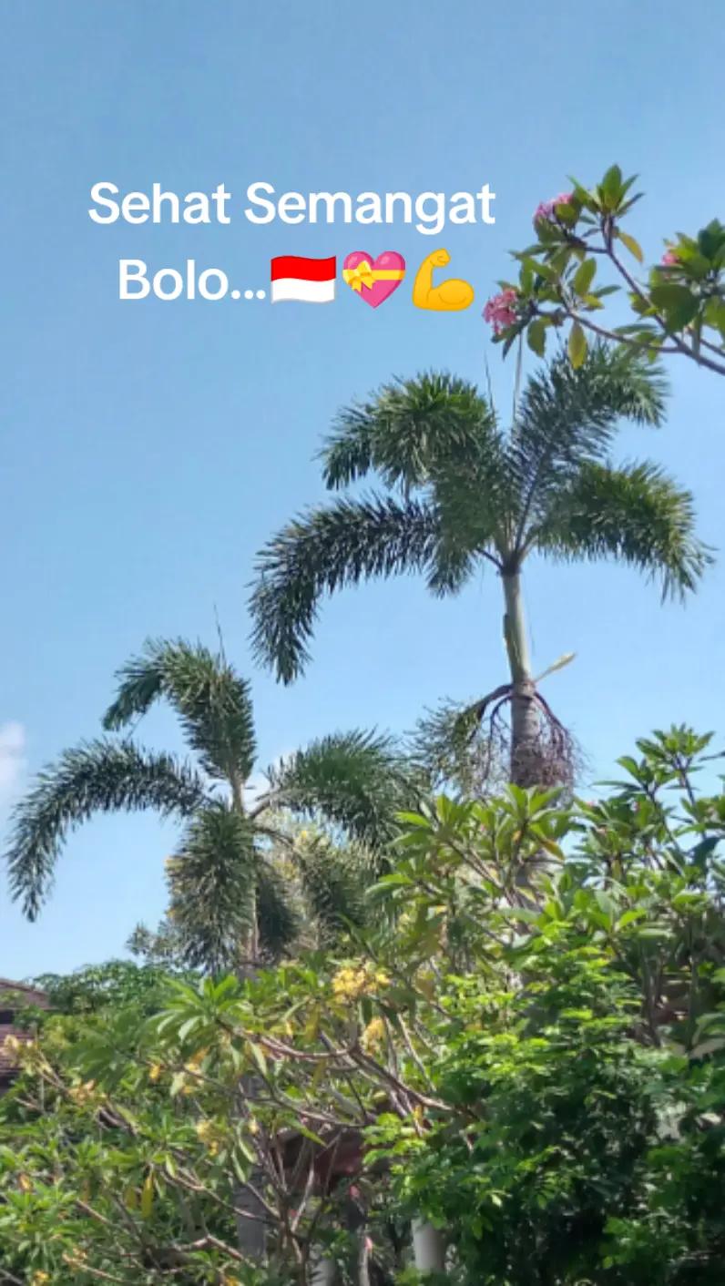 @Bejo 88 ke2