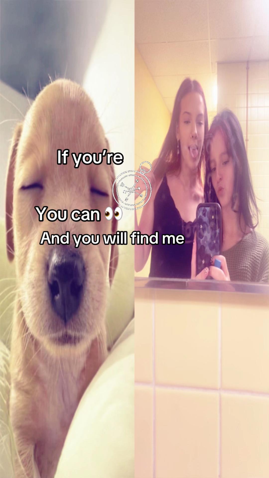 @ivyprofe.n