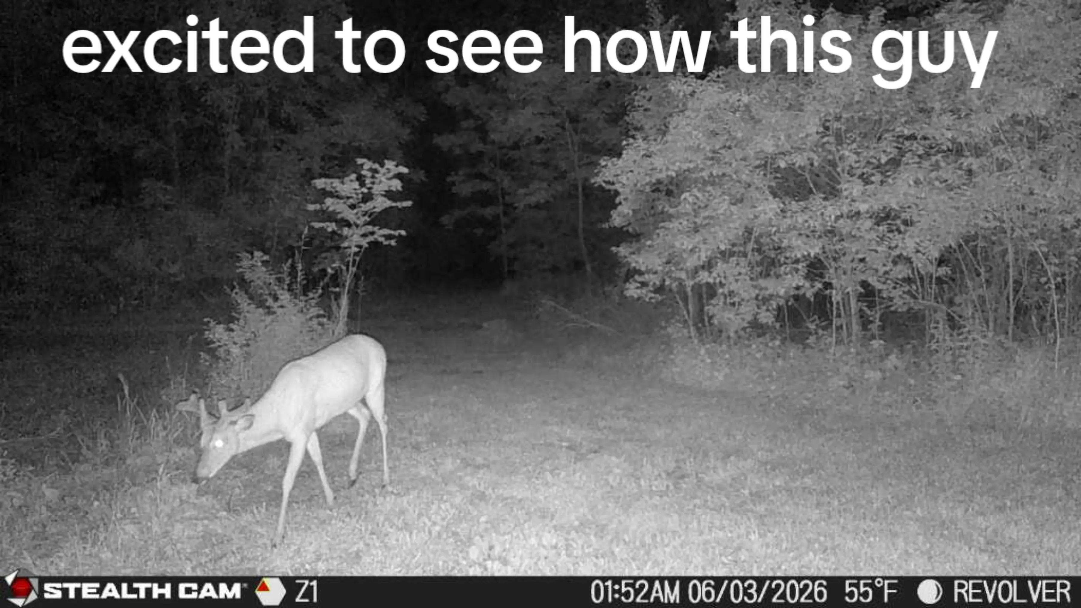@SmallfarmBigDreams