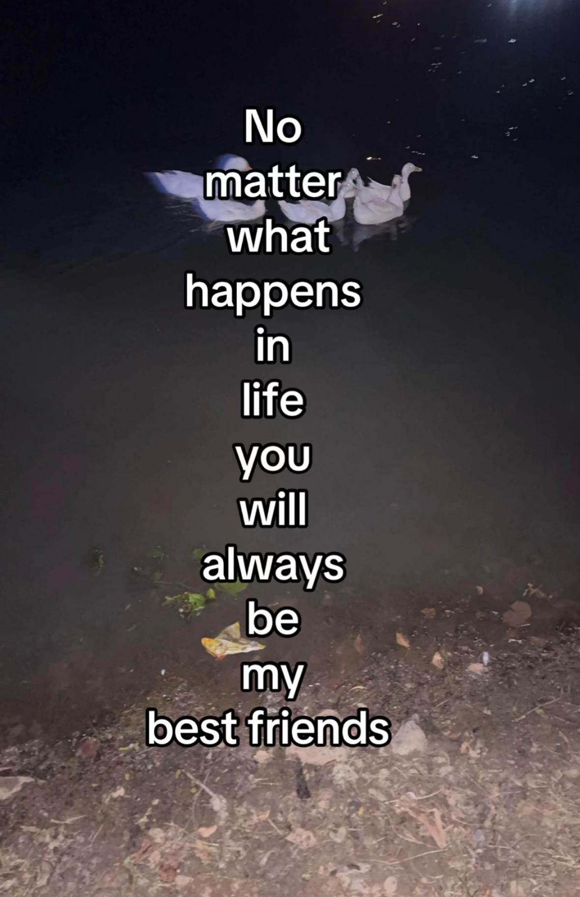 @𝓛𝓲𝓵𝓵𝔂