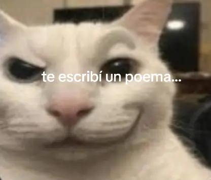 @:'3