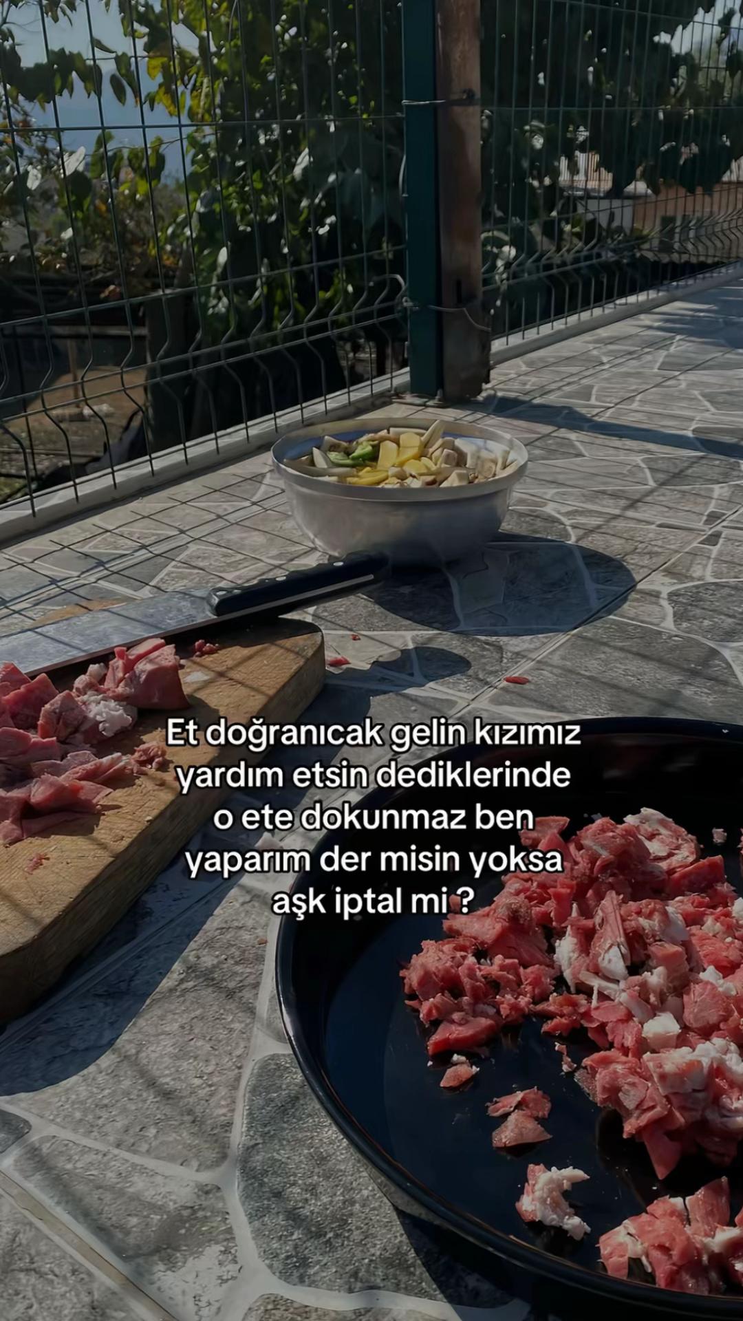 @beryhibiscuss1